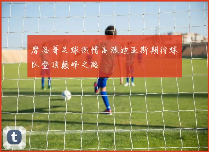 摩洛哥足球热情高涨迪亚斯期待球队登顶巅峰之路